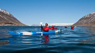 Calm Water Kayaking, Isafjordur